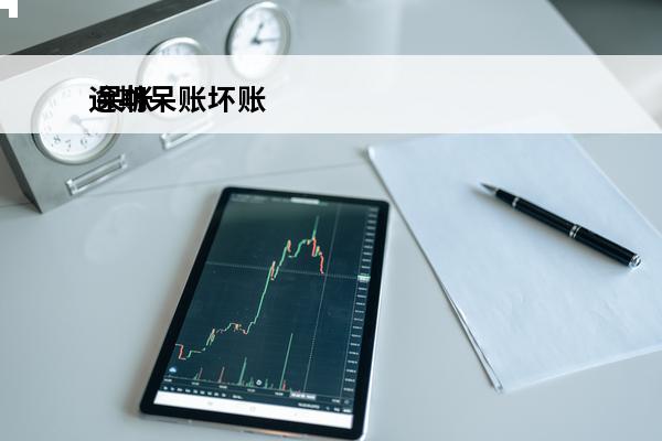 逾期呆账坏账
 呆帐