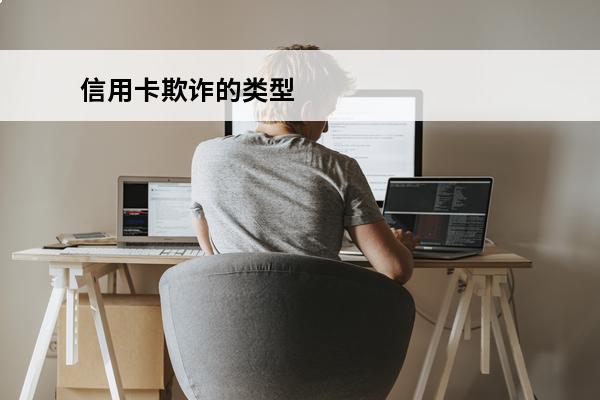 信用卡欺诈的类型
 