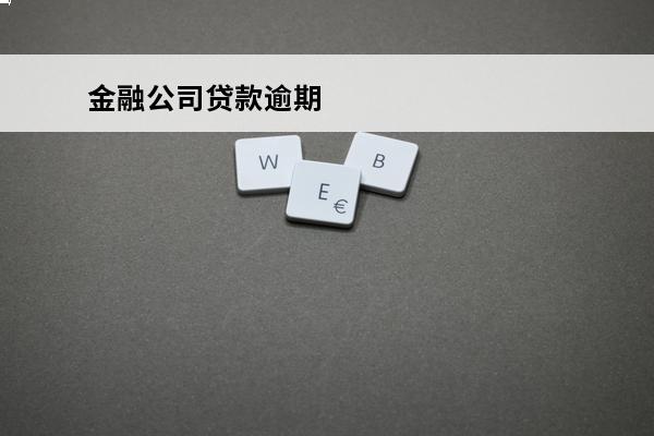 金融公司贷款逾期
 