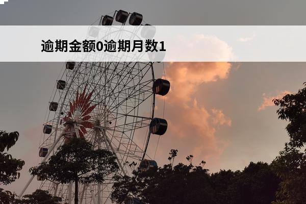 逾期金额0逾期月数1