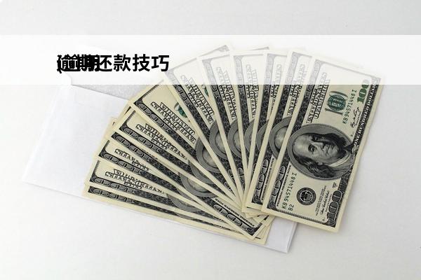 逾期还款技巧
(逾期还款技巧有哪些)