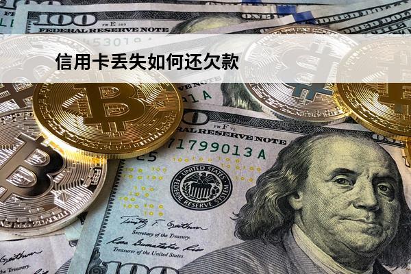 信用卡丢失如何还欠款
 银行卡信用卡掉了怎么办