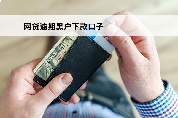 网贷逾期黑户下款口子
 网贷黑户借款口子有哪些