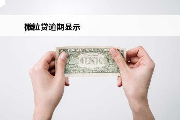 微粒贷逾期显示
(微