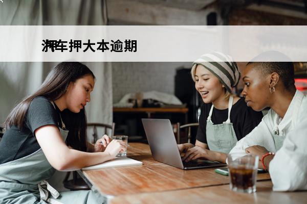 汽车押大本逾期
 押