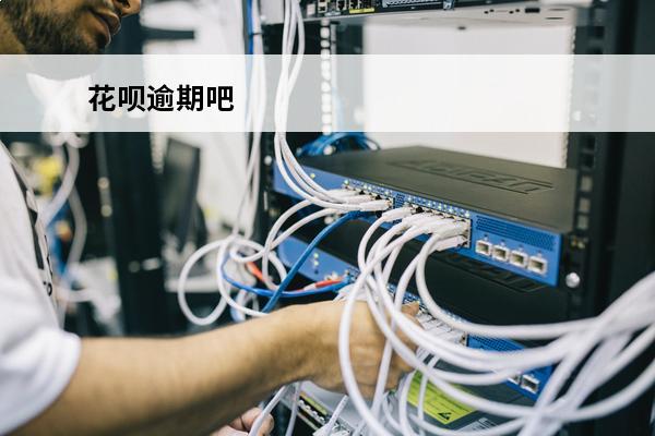 花呗逾期吧
 