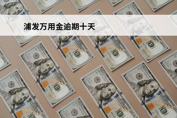 浦发万用金逾期十天
(浦发万用金逾期两年每月都有200还款银行起诉会怎样)