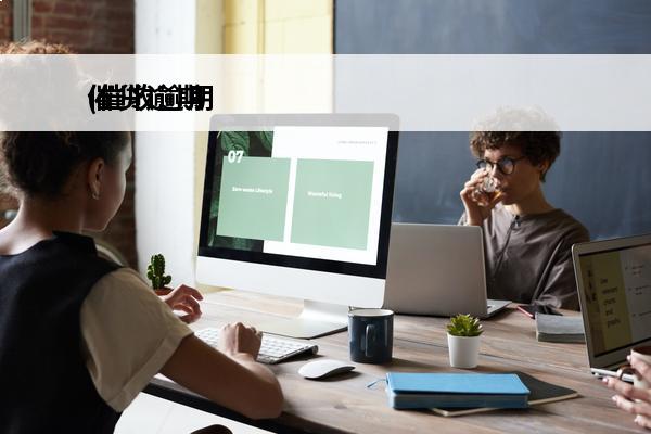 催贷逾期
(催收逾期贷款)