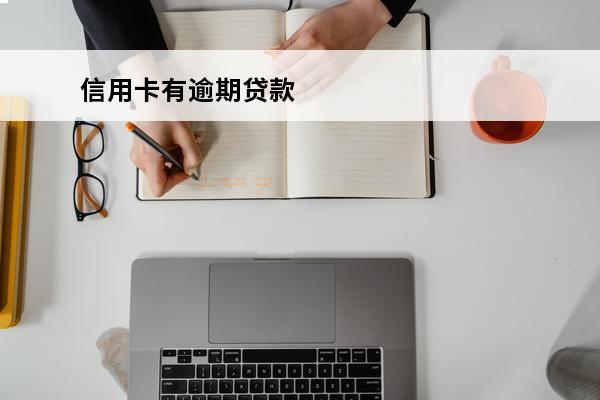 信用卡有逾期贷款
 信用卡有逾期贷款公司能贷款吗