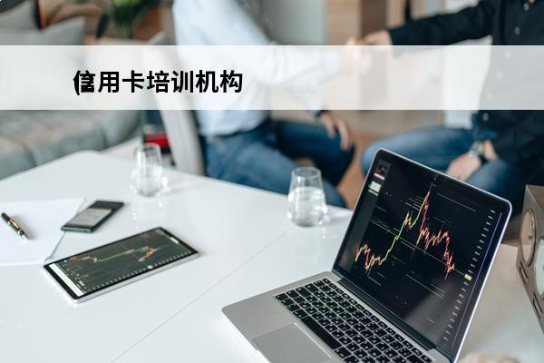 信用卡培训机构
(2021年代理营业机构信用卡引荐业务培训)