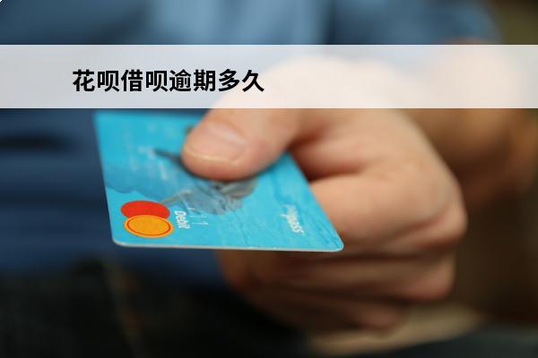 花呗借呗逾期多久
 花呗借呗逾期多久会上征信?花呗逾期会被起诉吗