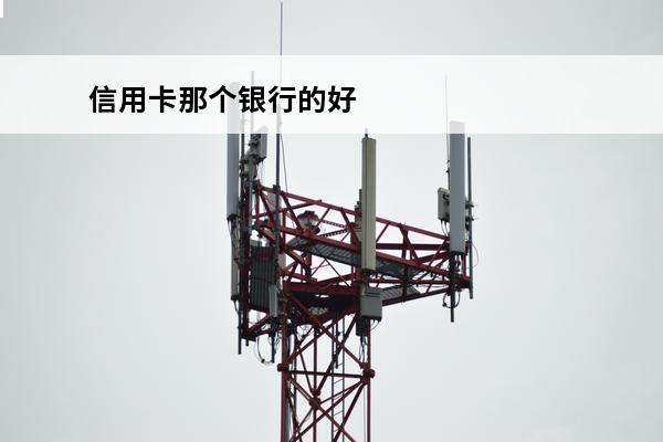 信用卡那个银行的好
(信用卡那个银行的好下卡)