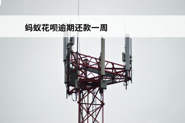 蚂蚁花呗逾期还款一周
(花呗逾期1周还了之后会影响信用吗)