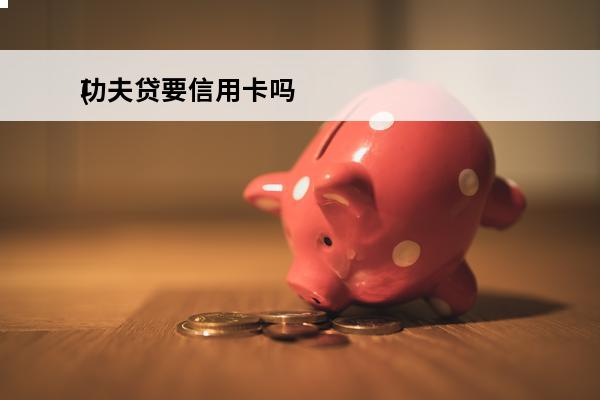 功夫贷要信用卡吗
(功夫贷还放款吗)