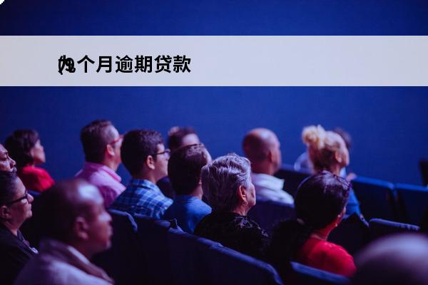 九个月逾期贷款
(9个月逾期超过90天)