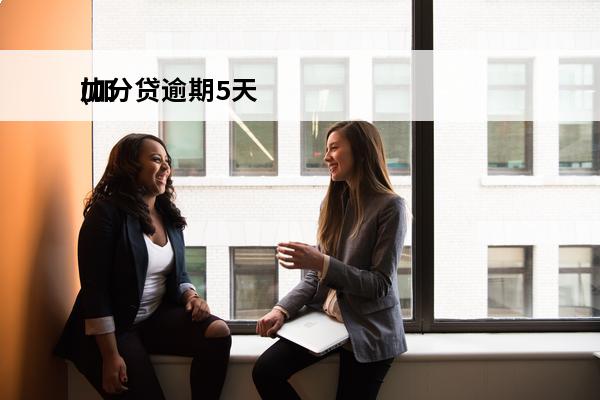 加分贷逾期5天
(加分贷app最新版)