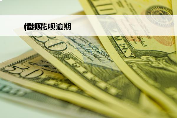 借呗花呗逾期
(借呗花呗逾期上门调查走访是否合法)