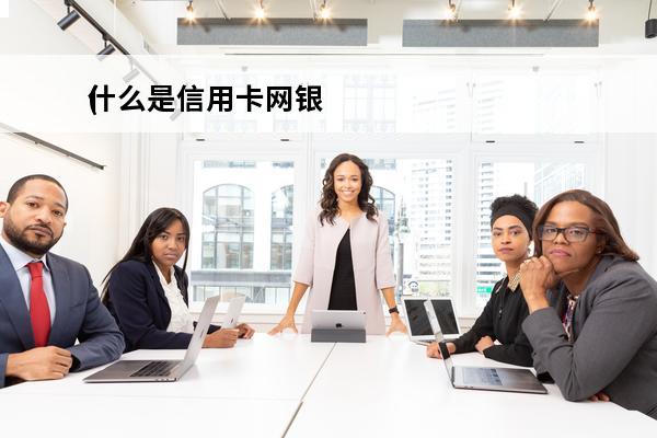 什么是信用卡网银
(网上银行和信用卡区别)