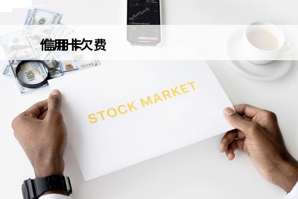 信用卡欠费
 信用卡欠费不还会有什么后果