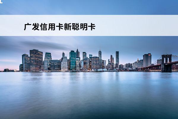广发信用卡新聪明卡
(广发新聪明卡是金卡吗)