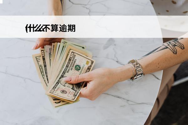 什么不算逾期
(什么不算逾期贷款)