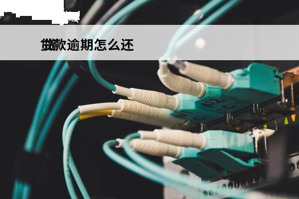 贷款逾期怎么还
 贷款逾期怎么还款最划算