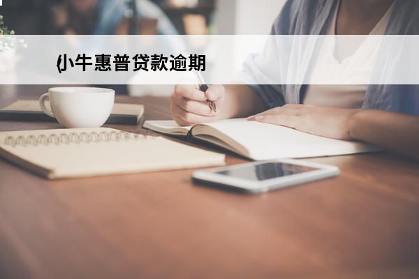 小牛惠普贷款逾期
(小牛普惠上不上征信)