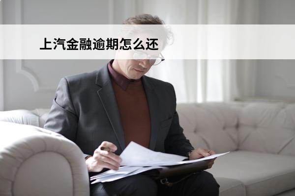 上汽金融逾期怎么还
(上汽金融逾期后主动还款要起诉我诈骗)