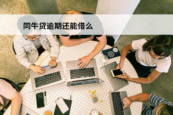 同牛贷逾期还能借么
(同牛科技发展)