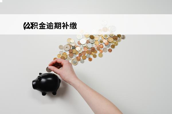 公积金逾期补缴
(公积金逾期补缴会影响征信吗)