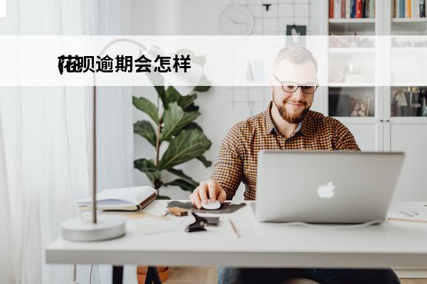 花呗逾期会怎样
(花呗如何申请延期还款)
