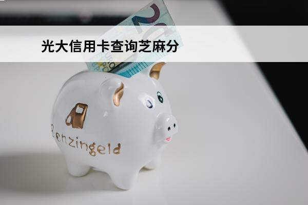 光大信用卡查询芝麻分
(怎么查光大信用卡分期记录)