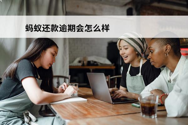 蚂蚁还款逾期会怎么样
 蚂蚁延期还款