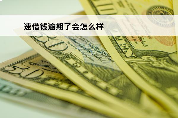 速借钱逾期了会怎么样
 速借正规吗