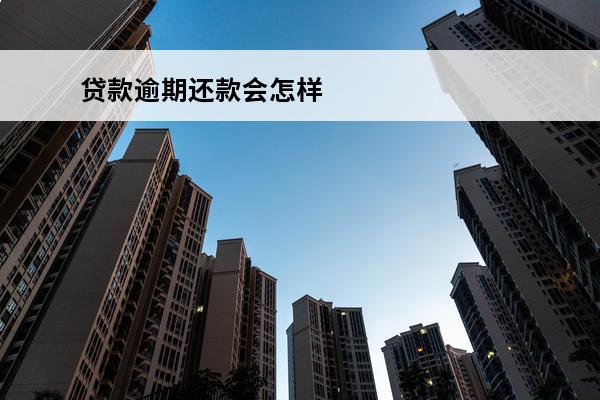 贷款逾期还款会怎样
(贷款逾期还款怎样补上)
