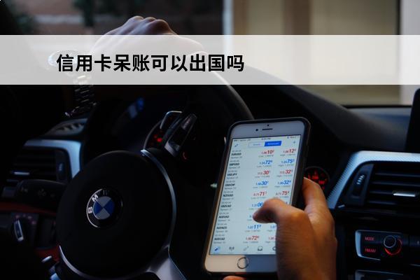 信用卡呆账可以出国吗
(有呆账信用卡能办下来吗)