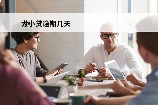 大小贷逾期几天
 小
