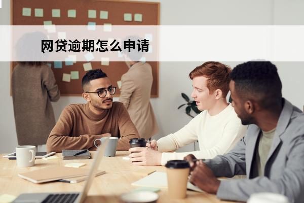 网贷逾期怎么申请
(网贷逾期怎么申请暂停还款)