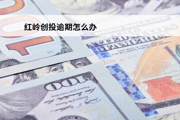 红岭创投逾期怎么办
(红岭创投能兑付完吗)