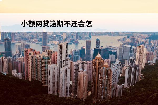 小额网贷逾期不还会怎么样
(欠小额网贷不还款妙招)