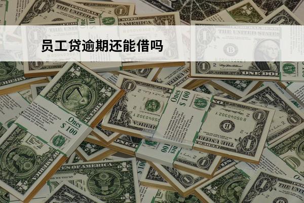 员工贷逾期还能借吗
(员工贷款逾期对公司影响)