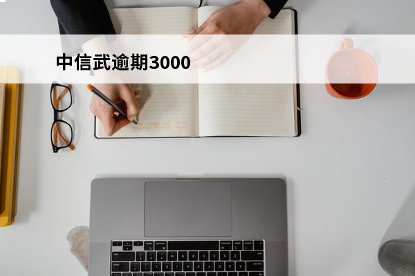 中信武逾期3000
