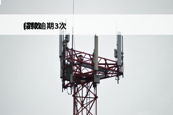 贷款逾期3次
(贷款