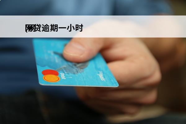 网贷逾期一小时
(网贷逾期一个小时算逾期吗)