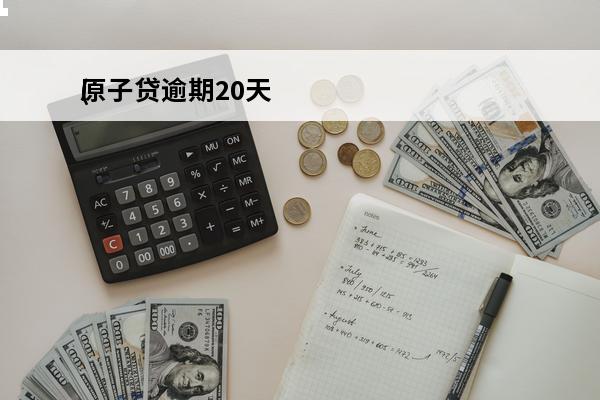 原子贷逾期20天
(原子贷没有还会起诉嚒)