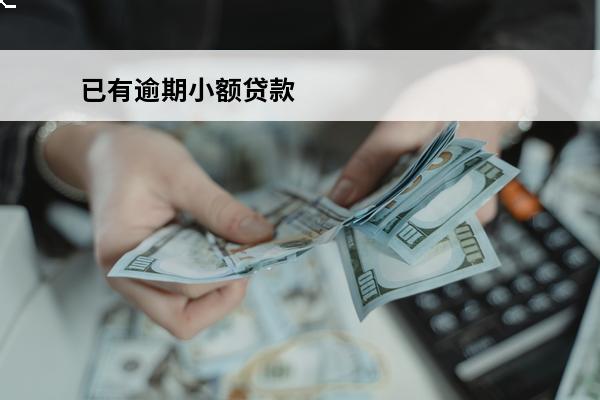 已有逾期小额贷款
 小贷有逾期能办信用卡吗