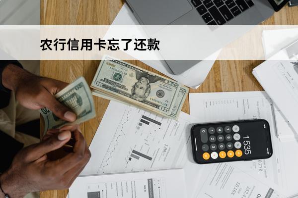 农行信用卡忘了还款
(农行信用卡忘了还款几天会影响征信吗)