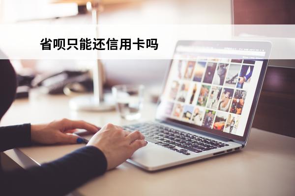 省呗只能还信用卡吗
(省呗可以用信用卡还款吗)