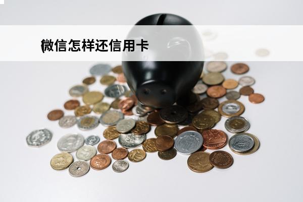 微信怎样还信用卡
(微信怎样还信用卡没手续费)