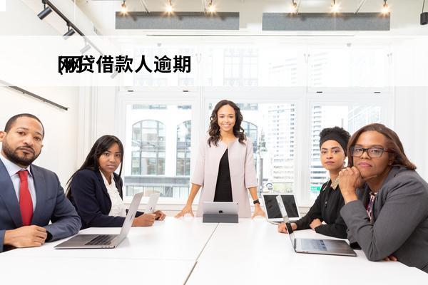 网贷借款人逾期
(网贷逾期贷款)